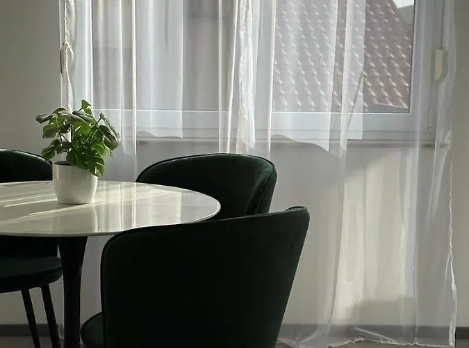 The Grey Olive ツリクヴェニツァ