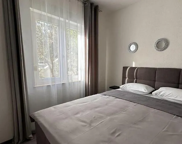 The Grey Olive ツリクヴェニツァ